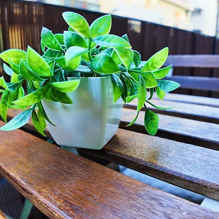 Apartalux Centralmar Centro 公寓 *